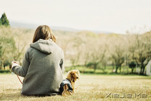 ��һ��΢Ц������ߣ����ַ������ϵ��� (6)