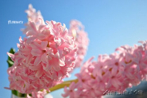 最深的孤独不是一片黑暗,而是你只能看到自己 (4)
