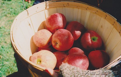 早安心语:生活的美好缘于拥有一颗平常心 (5)