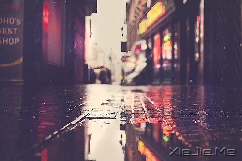 晚安心语:只有想不通的人,没有走不通的路 (4)