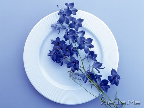 ���������������ˮ�����ĵף��۾�ֻ��һ��СС�ĳ��� (7)