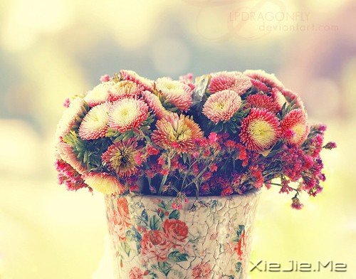 HbW4a HbW4a